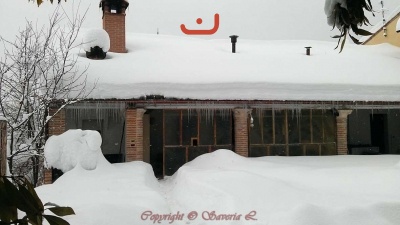 Nevicata Febbraio 2012_1
