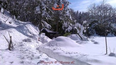 Nevicata Febbraio 2012_3