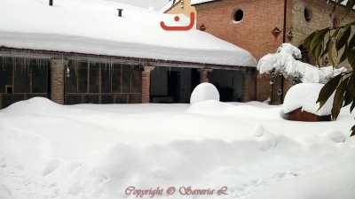 Nevicata Febbraio 2012_8