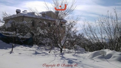 Nevicata Febbraio 2012_18